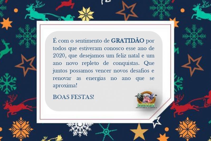 Boas festas !
